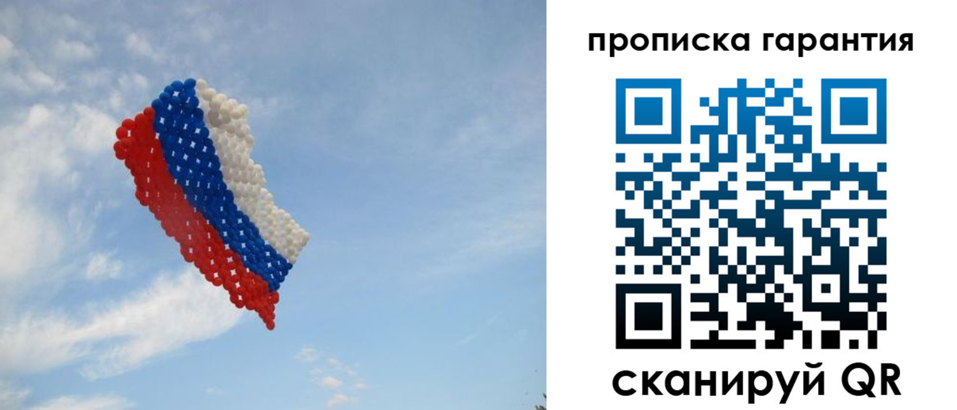 регистрация в Владимирской области